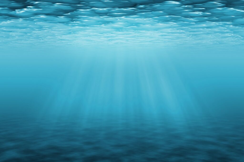 beautiful ocean picture by marine conservation ngo from india