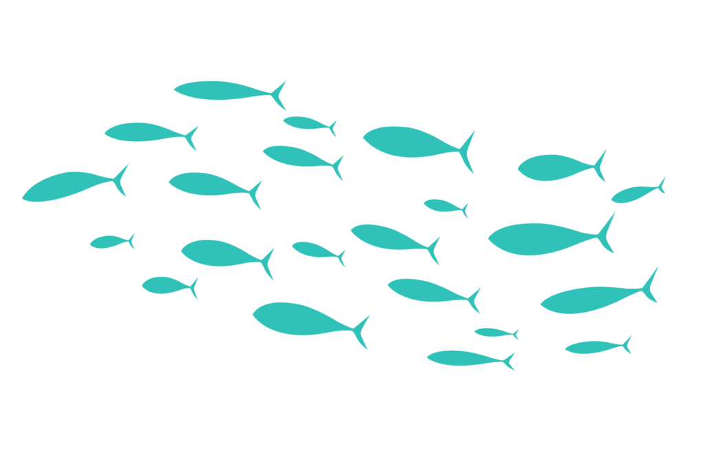 school of fishes artwork
