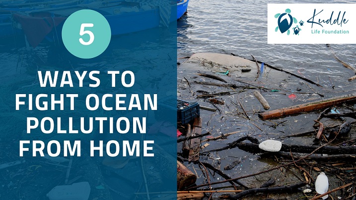 fight ocean pollution from home