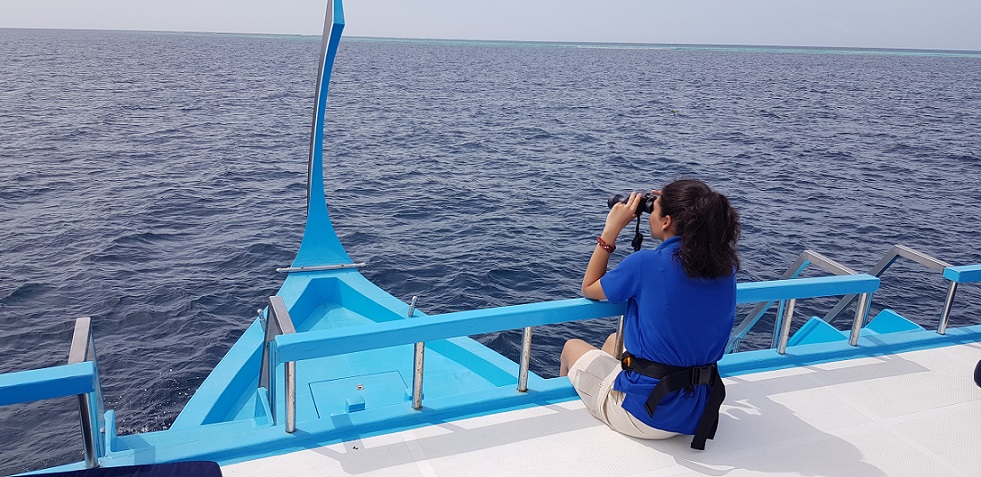 trying to spot manta rays during my marine conservation internship